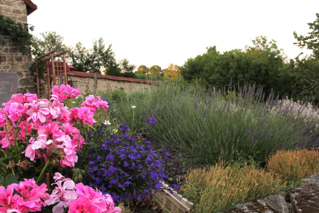 ลา เบล อาม Bed & Breakfast Saint-Priest-des-Champs ภายนอก รูปภาพ