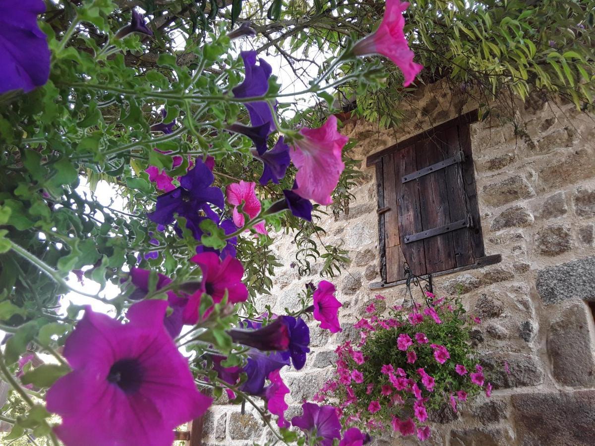 ลา เบล อาม Bed & Breakfast Saint-Priest-des-Champs ภายนอก รูปภาพ